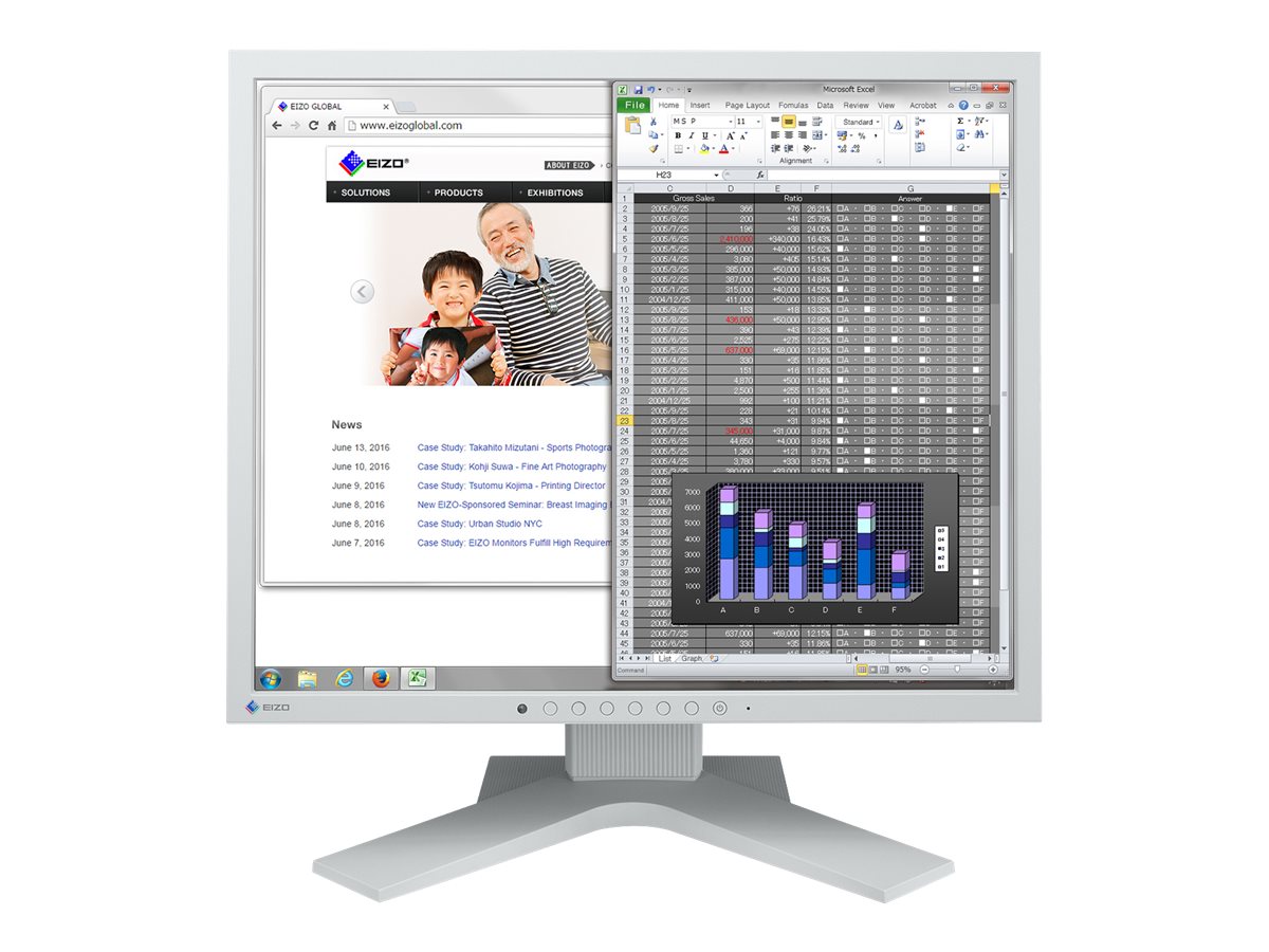 EIZO FlexScan S1934H - LED-Monitor - 48.1 cm (19")