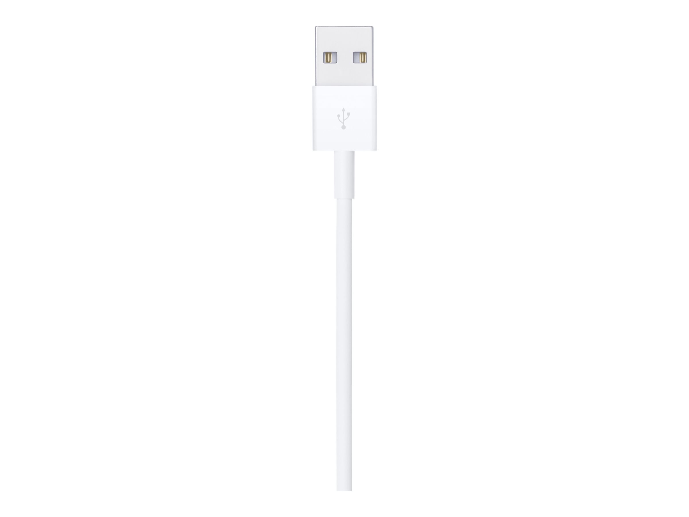 Apple Lightning-Kabel Lightning Digital / Daten
