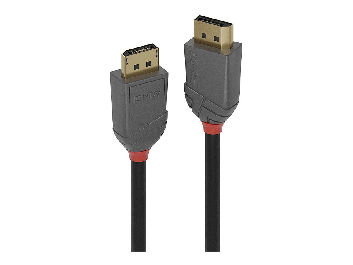 Lindy Anthra Line - DisplayPort-Kabel - DisplayPort (M)
