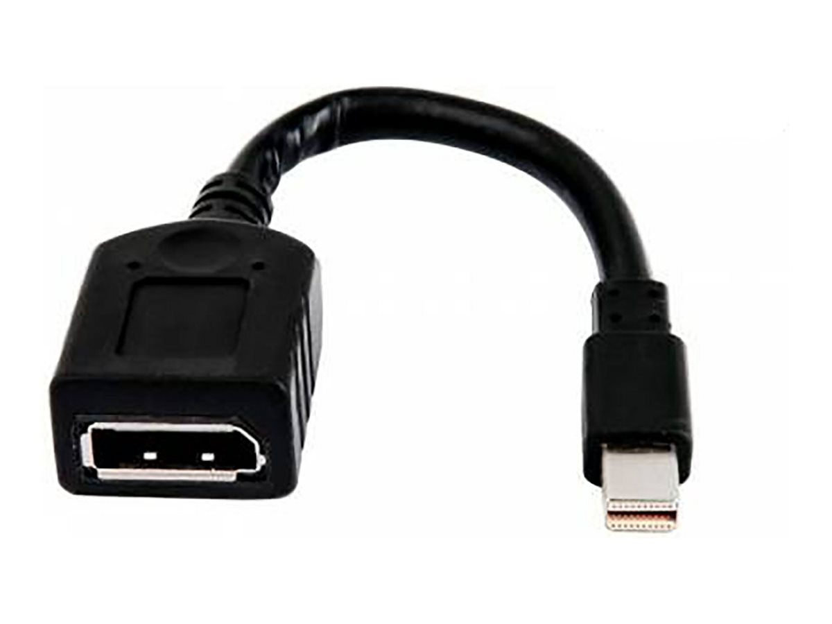 HP  DisplayPort-Adapter - Mini DisplayPort (M)