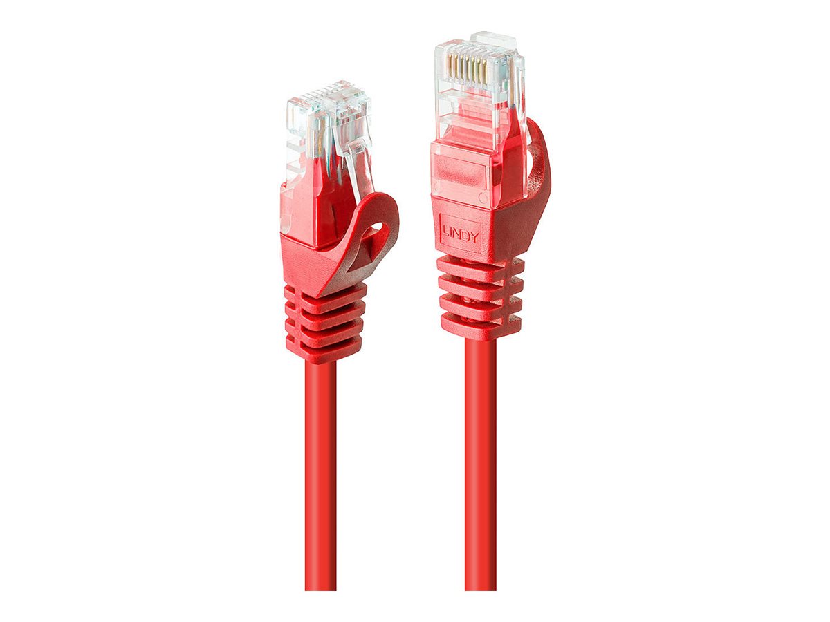 Lindy Basic - Patch-Kabel - RJ-45 (M) zu RJ-45 (M)