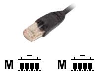 EFB Elektronik EFB-Elektronik ECOLAN - Patch-Kabel - RJ-45 (M)