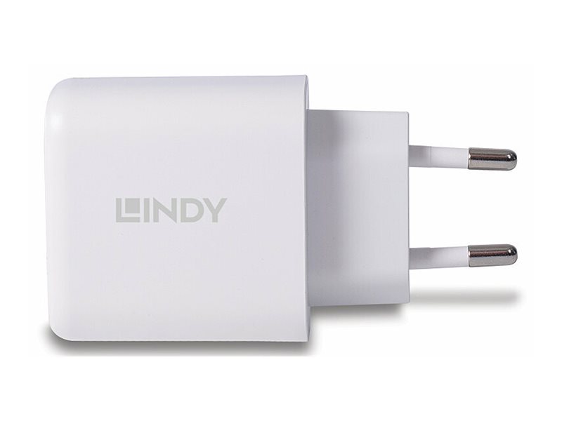 Lindy Netzteil - 30 Watt - 3 A - PD 3.0 - 2 Ausgabeanschlussstellen (4-polig USB Typ A  24-polig USB-C)