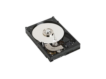Dell  Festplatte - 1 TB - Hot-Swap - 3.5 LFF Low Profile (8.9 cm)