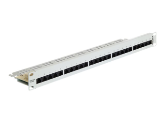 Delock Patch Panel - CAT 3 - RJ-45 X 25 - Hellgrau RAL 7035 - 1U - 48.3 cm (19)