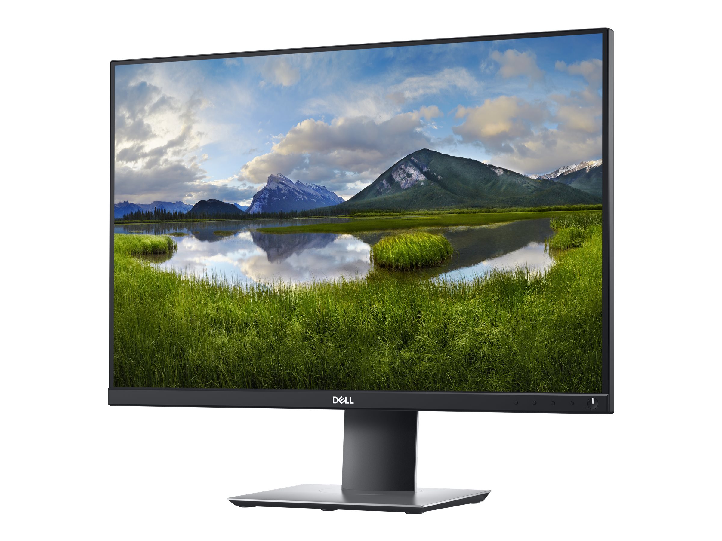 Dell P2421 - LED-Monitor - 61.13 cm (24.1")