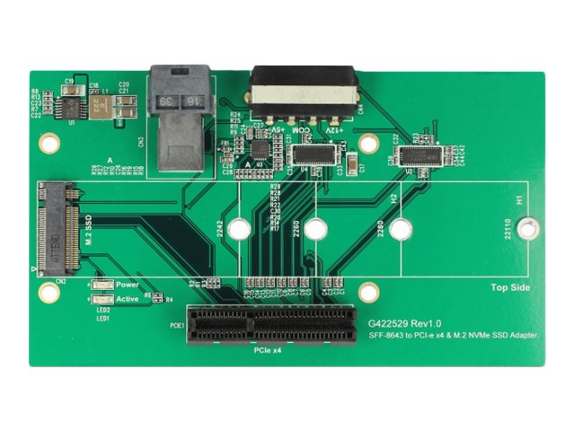 Delock U.2 SFF-8643 Adapter to PCIe x4 or M.2 Key M slot with fixing plate - Schnittstellenadapter - M.2, PCIe-Karte (PCIe-Karte)