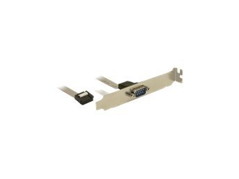 Delock Slot Bracket > 1 x Serial - Serielles Bedienfeld - 9-polig IDC (W)