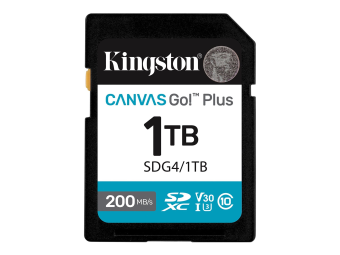 Kingston Canvas Go! Plus - Flash-Speicherkarte