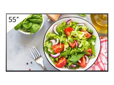 Sony Bravia Professional Displays FW-55BZ35L - 139 cm (55")