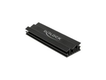 Delock Solid State Drive Kühlkörper - Schwarz