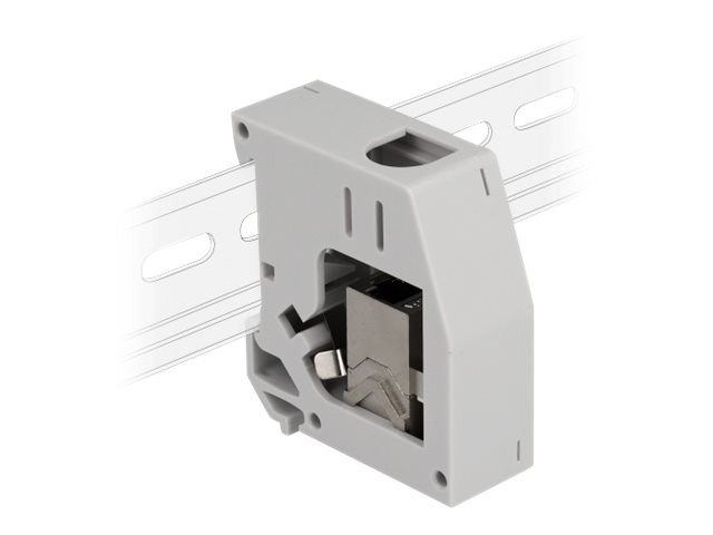 Delock DIN-Schienenmontageadapter - mit Keystone-Modul