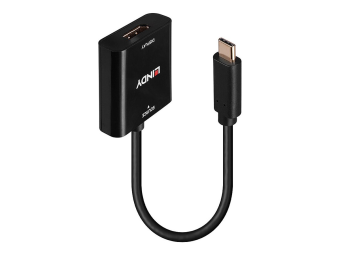 Lindy Videoadapter - 24 pin USB-C (M) zu DisplayPort (W)