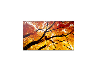 NEC MultiSync M552
