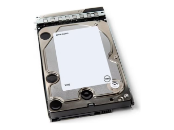 Dell  Kunden-Kit - Festplatte - 12 TB - 512e - 3.5" (8.9 cm)