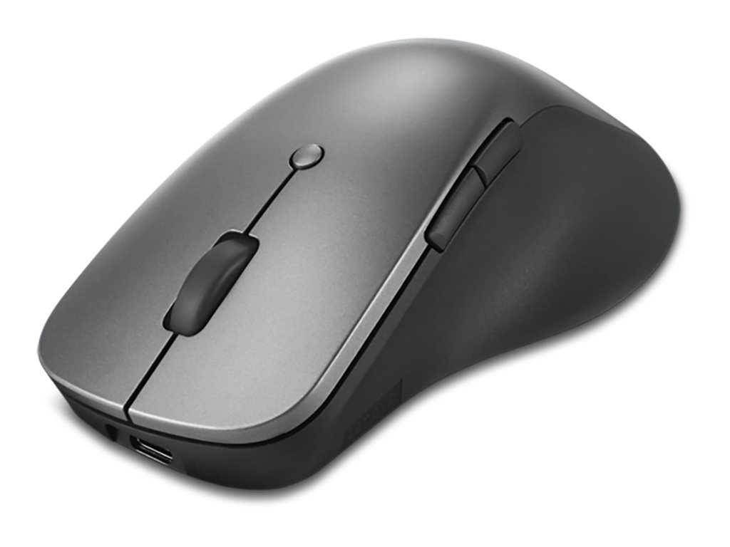 Lenovo Professional - Maus - ergonomisch - optisch