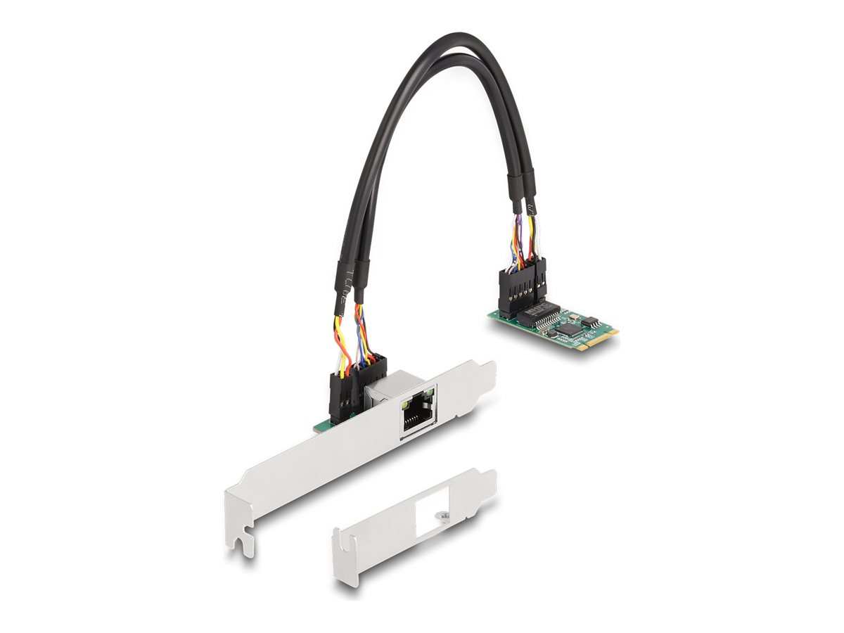 Delock Netzwerkadapter - M.2 2242 Low-Profile
