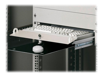 Rittal Tastatureinschub - Hellgrau - 48.3 cm (19")