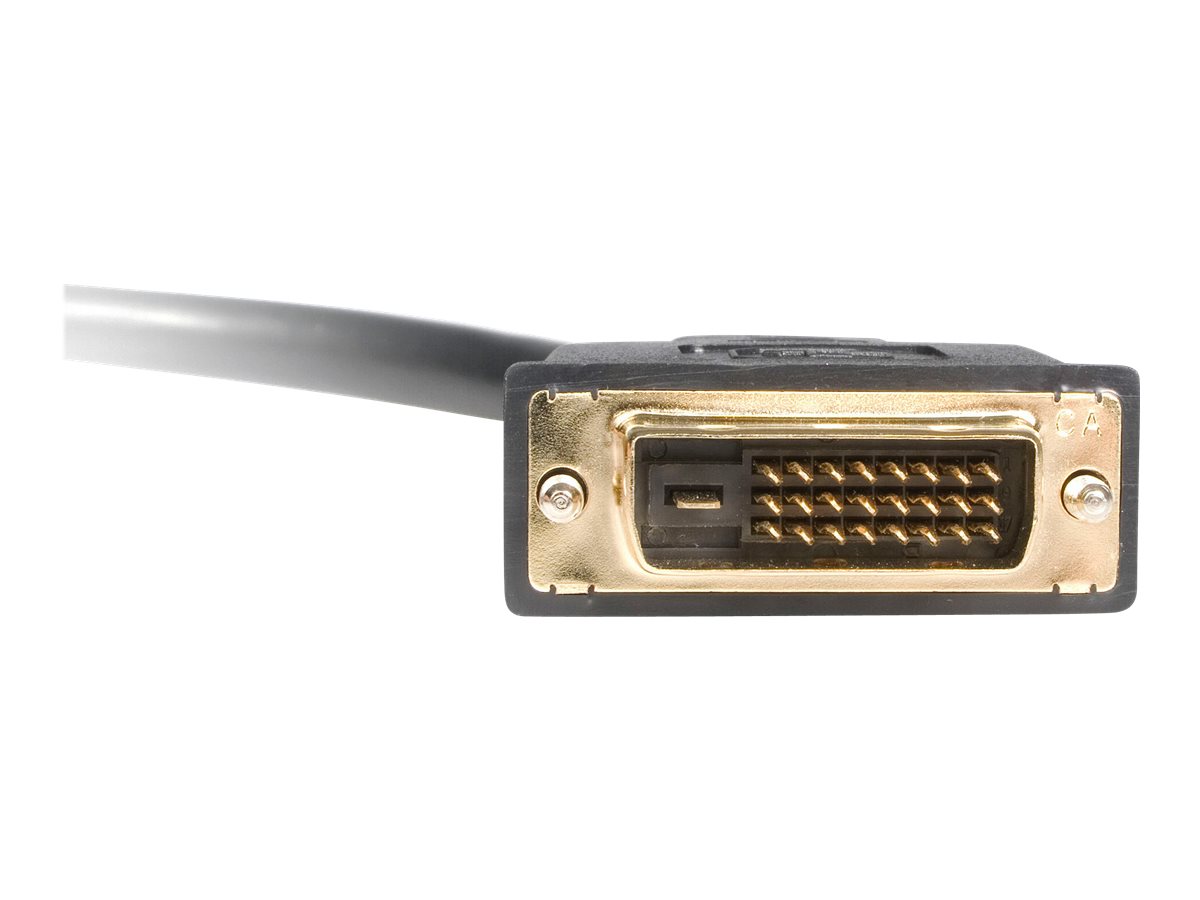 StarTech.com DVI-D auf 2x DVI-D 30cm Splitter
