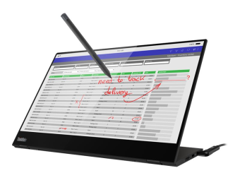 Lenovo ThinkVision M14t - LED-Monitor - 35.6 cm (14")