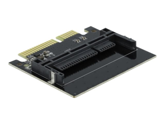 Delock Schnittstellenadapter - CFast Card