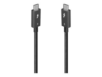 Lindy USB-Kabel - 24 pin USB-C (M) zu 24 pin USB-C (M)