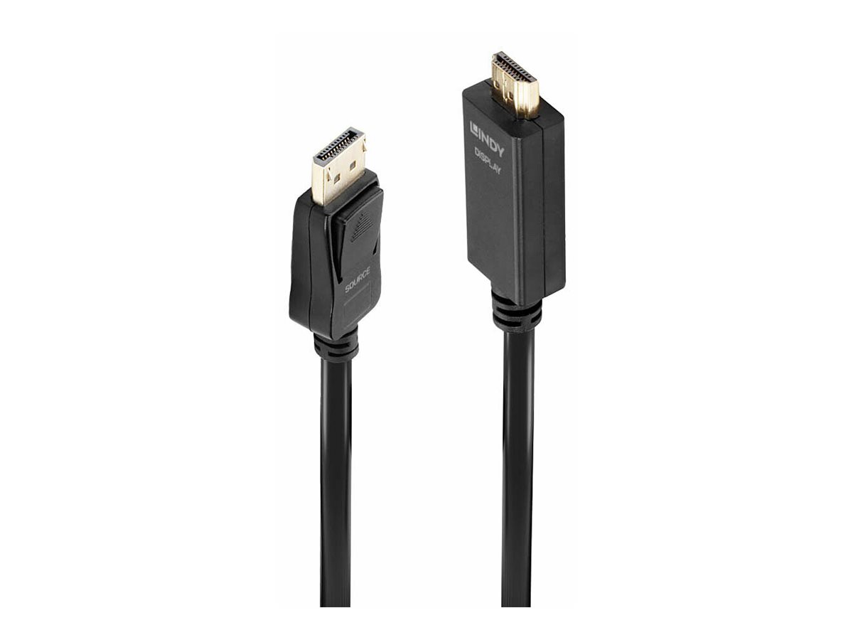 Lindy Adapterkabel - DisplayPort männlich zu