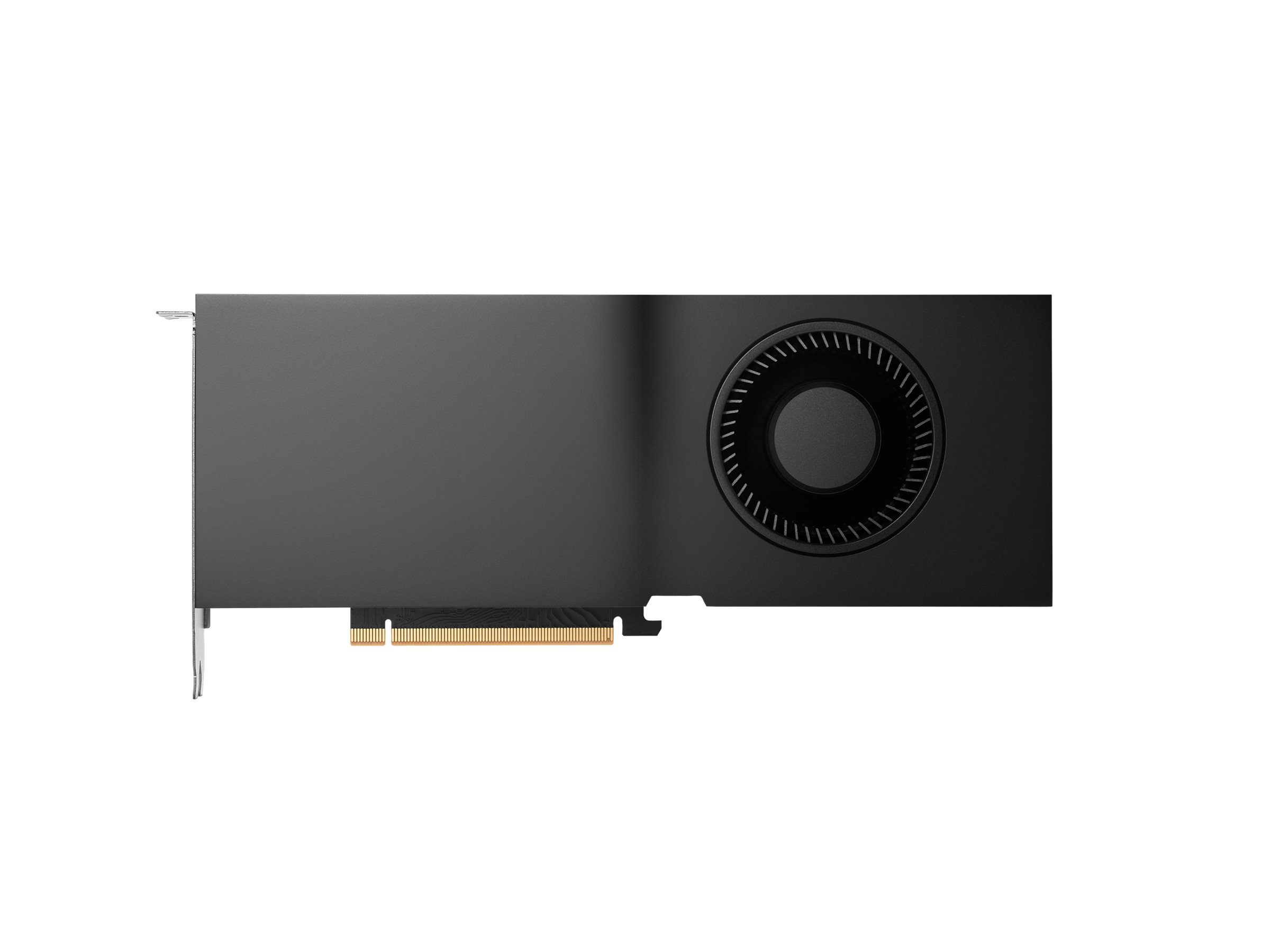 HP NVIDIA RTX - Grafikkarte - RTX 4500 Ada - 24