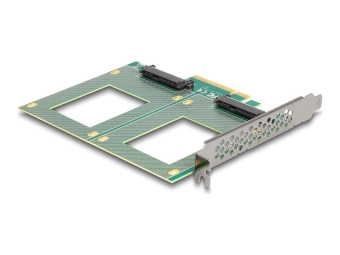 Delock Speicher-Controller - Gabelung 144 x 122 mm