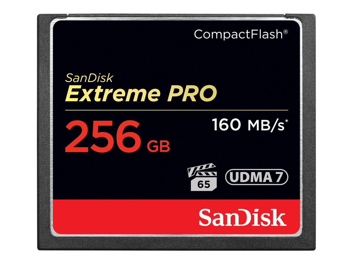 SanDisk Extreme Pro - Flash-Speicherkarte - 256