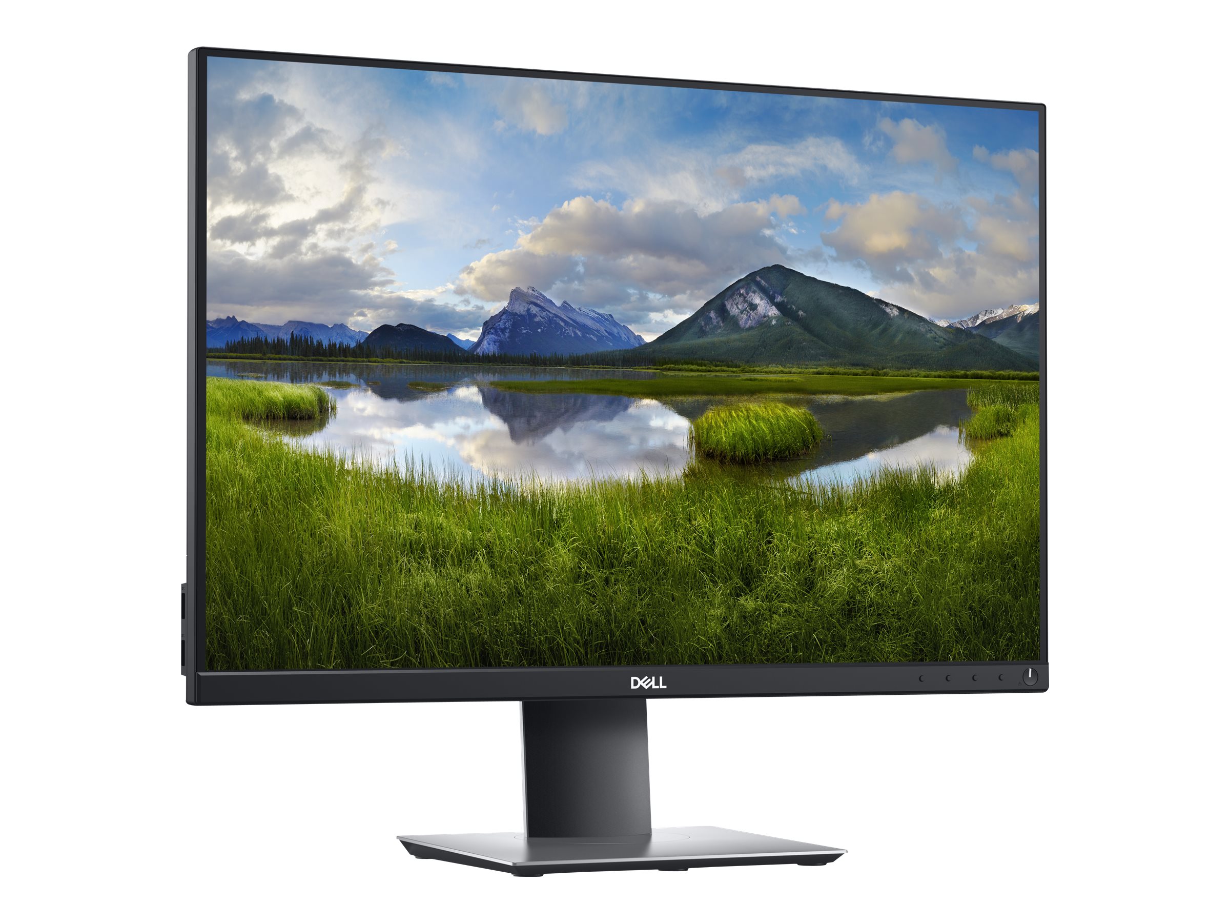 Dell P2421 - LED-Monitor - 61.13 cm (24.1")