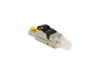Delock Netzwerkanschluss - RJ-45 (M) - 6.22
