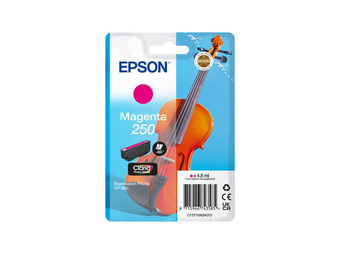Epson Singlepack Magenta 250 ink - Original - Tintenpatrone