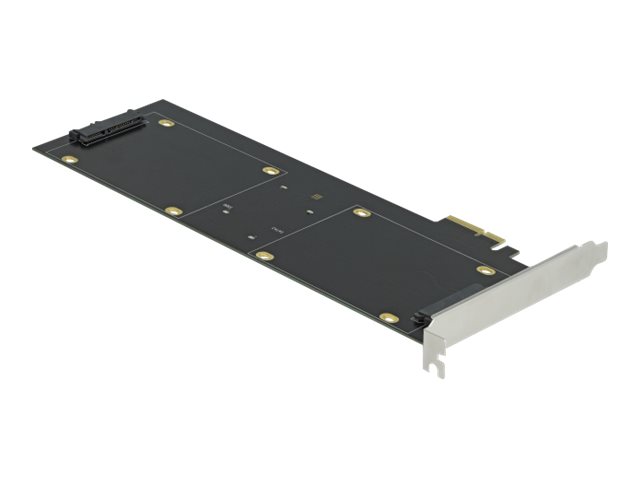 Delock Speichercontroller (RAID) - 4 SenderKanal