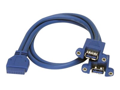 StarTech.com 2 Port USB 3.0 Pinheader Kabel - USB A auf Mainboard Header Kabel - BuBu - USB-Kabel intern auf extern - USB Typ A (W)