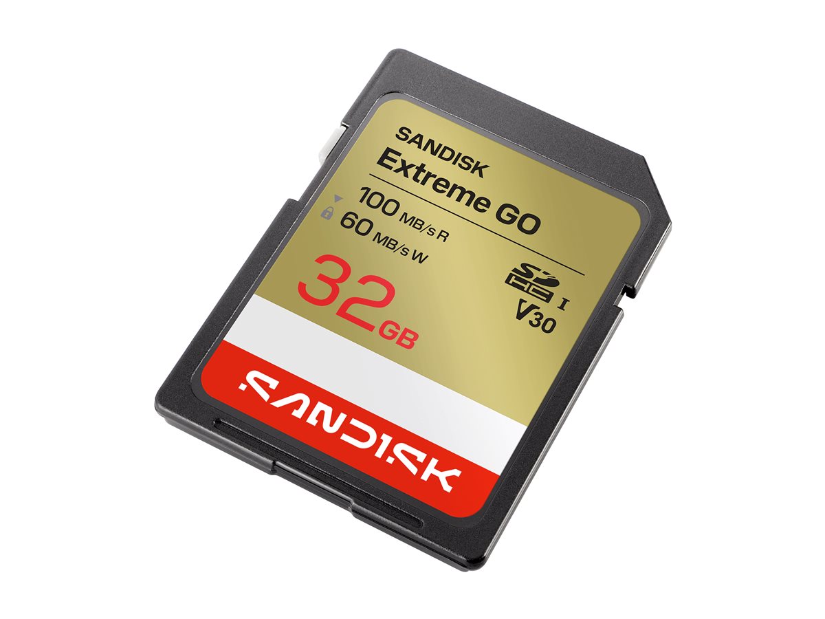 SanDisk Extreme Go - Flash-Speicherkarte - 32