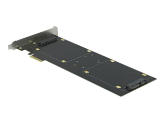 Delock Speichercontroller (RAID) - 4 SenderKanal