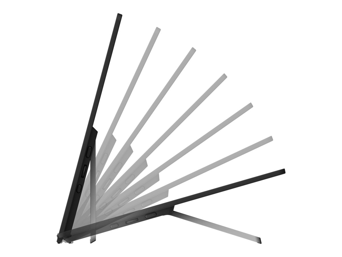 Fsas Technologies Ricoh 150BW - OLED-Monitor - 39.6 cm (15.6") (16" sichtbar)