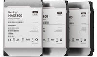Synology HAS5300 - Festplatte - 12 TB - intern - 3.5" (8.9 cm)