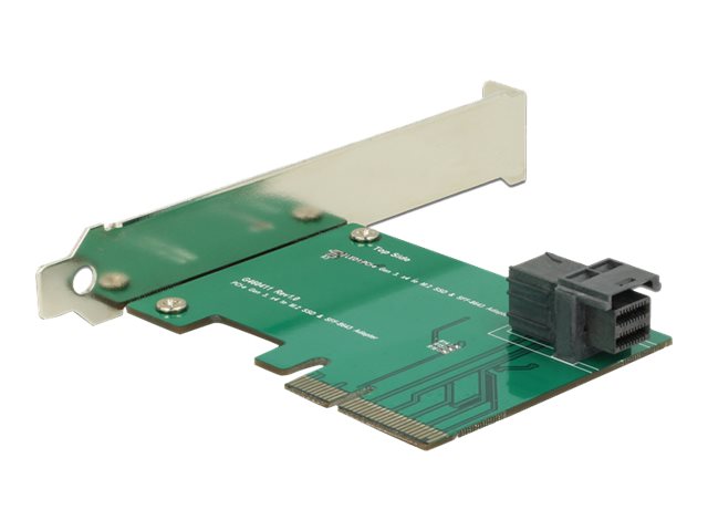 Delock Speicher-Controller - SAS 12Gbs - PCIe