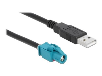 Delock Datenkabel - HSD Z weiblich zu USB männlich