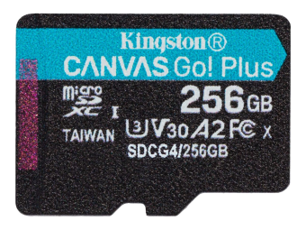 Kingston Canvas Go! Plus - Flash-Speicherkarte