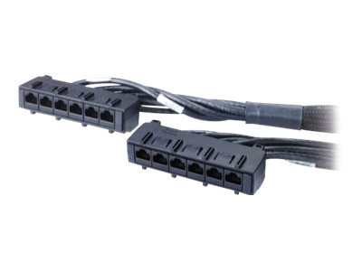 APC Data Distribution Cable - Netzwerkkabel - TAA-konform - RJ-45 (W)