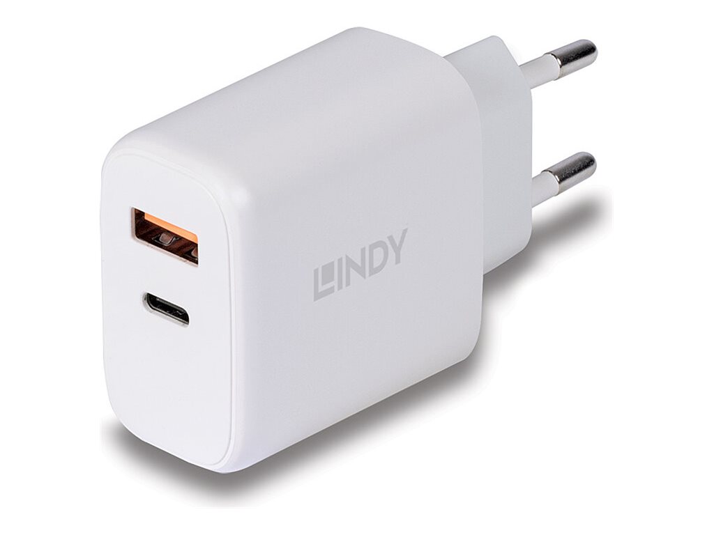 Lindy Netzteil - 30 Watt - 3 A - PD 3.0 - 2 Ausgabeanschlussstellen (4-polig USB Typ A  24-polig USB-C)