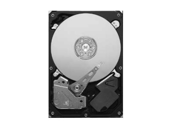 Seagate Pipeline HD ST3320311CS - Festplatte - 320 GB - intern - 3.5 (8.9 cm)