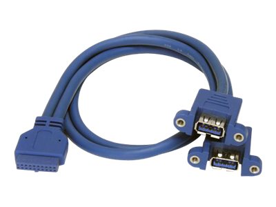 StarTech.com 2 Port USB 3.0 Pinheader Kabel - USB A auf Mainboard Header Kabel - BuBu - USB-Kabel intern auf extern - USB Typ A (W)