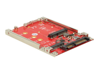 Delock Speicher-Controller - M.2 - M.2 Card  mSATA