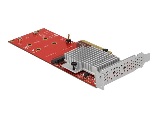 Delock PCI Express Card > 2 x internal M.2 - Schnittstellenadapter