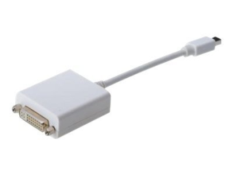 DIGITUS DisplayPort-Adapter - Mini DisplayPort (M)