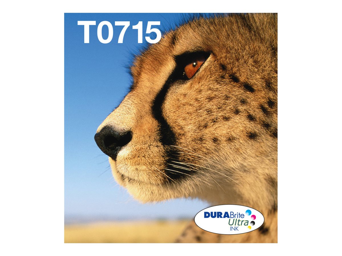 Epson T071 Easy Mail Packaging - 4er-Pack - 23.9 ml